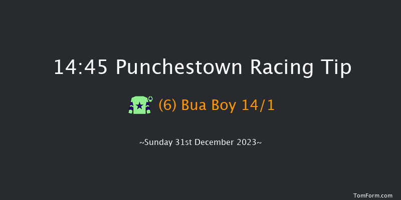 Punchestown 14:45 Handicap Hurdle 19f Tue 12th Dec 2023