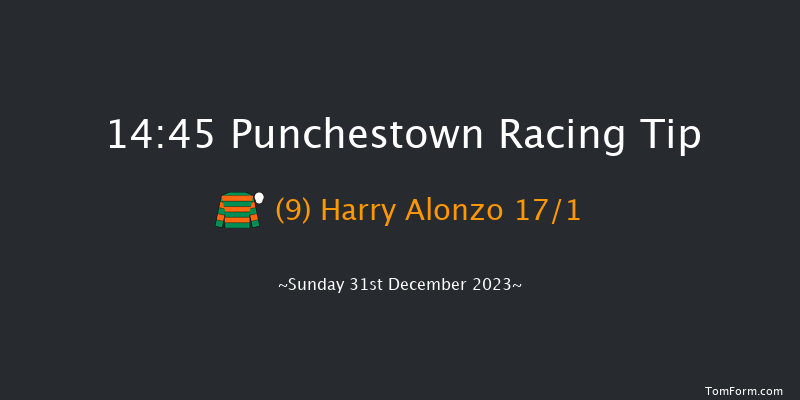 Punchestown 14:45 Handicap Hurdle 19f Tue 12th Dec 2023