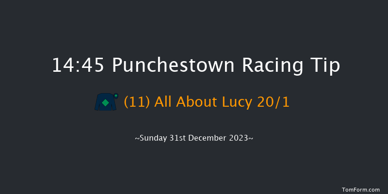 Punchestown 14:45 Handicap Hurdle 19f Tue 12th Dec 2023