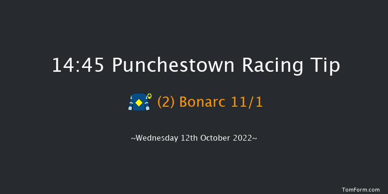 Punchestown 14:45 Handicap Hurdle 16f Tue 11th Oct 2022