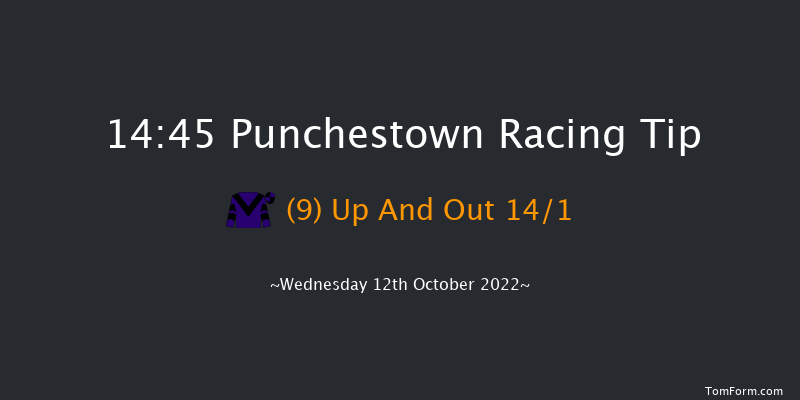 Punchestown 14:45 Handicap Hurdle 16f Tue 11th Oct 2022