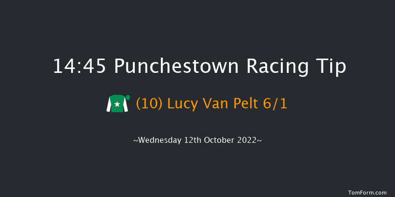 Punchestown 14:45 Handicap Hurdle 16f Tue 11th Oct 2022