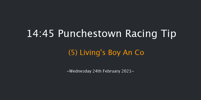 I.N.H. Stallion Owners EBF Maiden Hurdle Punchestown 14:45 Maiden Hurdle 20f Sun 14th Feb 2021