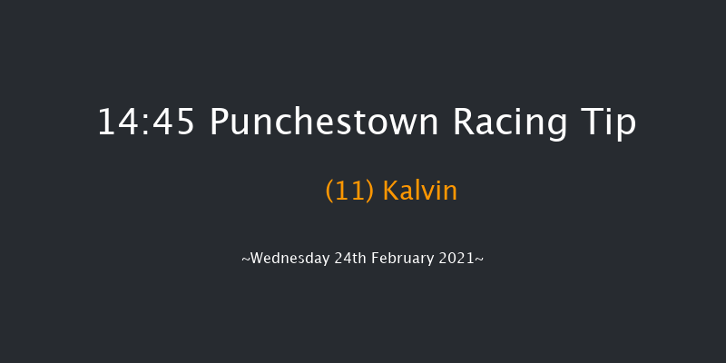 I.N.H. Stallion Owners EBF Maiden Hurdle Punchestown 14:45 Maiden Hurdle 20f Sun 14th Feb 2021