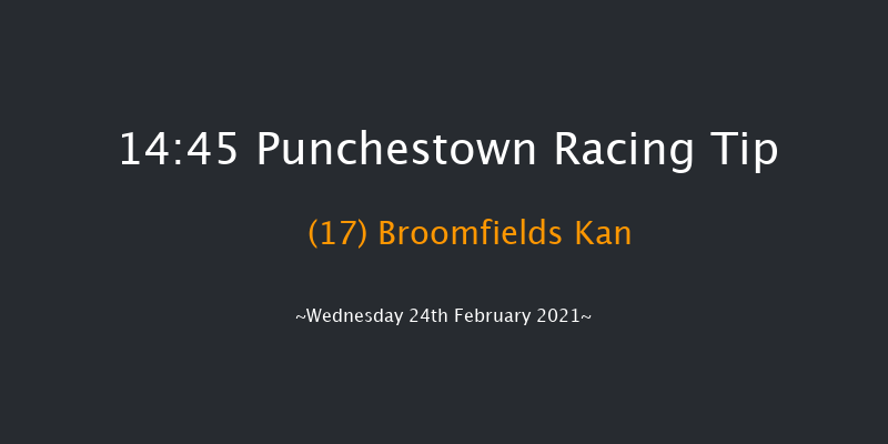 I.N.H. Stallion Owners EBF Maiden Hurdle Punchestown 14:45 Maiden Hurdle 20f Sun 14th Feb 2021