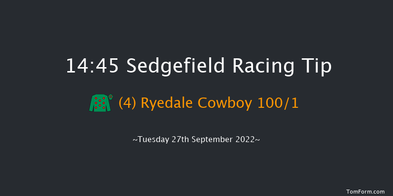 Sedgefield 14:45 Maiden Hurdle (Class 4) 20f Thu 1st Sep 2022