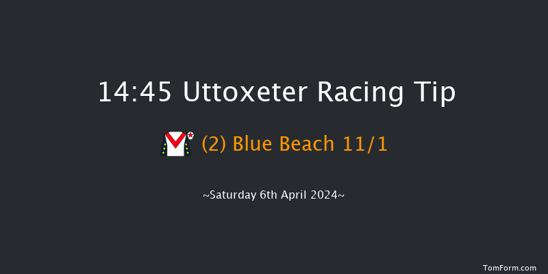 Uttoxeter  14:45 Handicap Hurdle (Class 4)
20f Sat 16th Mar 2024