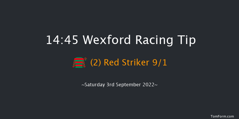 Wexford 14:45 Handicap Hurdle 16f Fri 5th Aug 2022