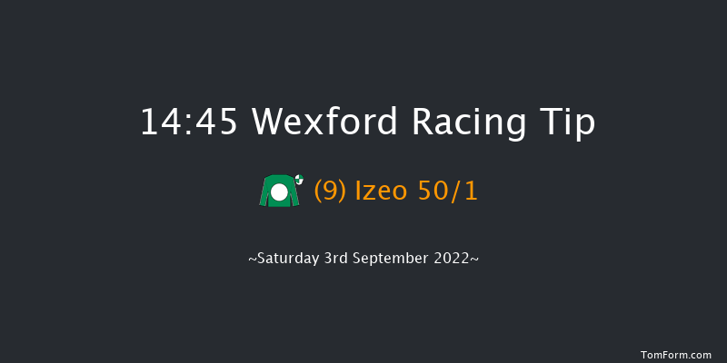 Wexford 14:45 Handicap Hurdle 16f Fri 5th Aug 2022