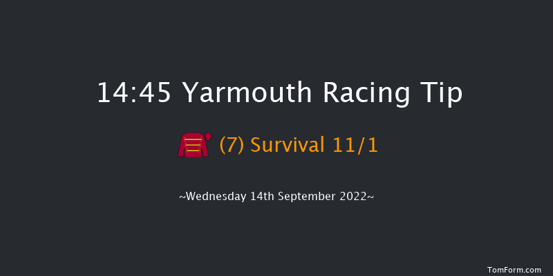 Yarmouth 14:45 Maiden (Class 4) 7f Tue 13th Sep 2022