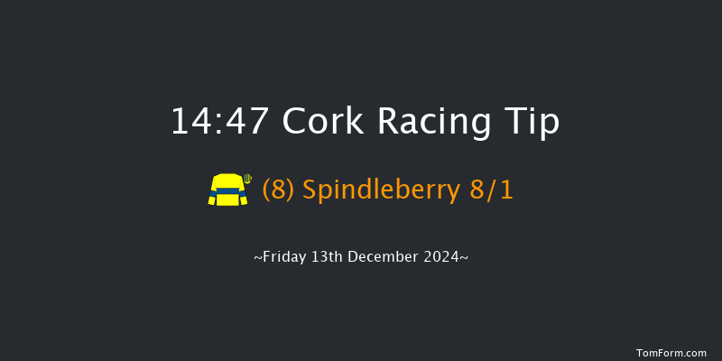 Cork  14:47 Maiden Chase 21f Sun 8th Dec 2024