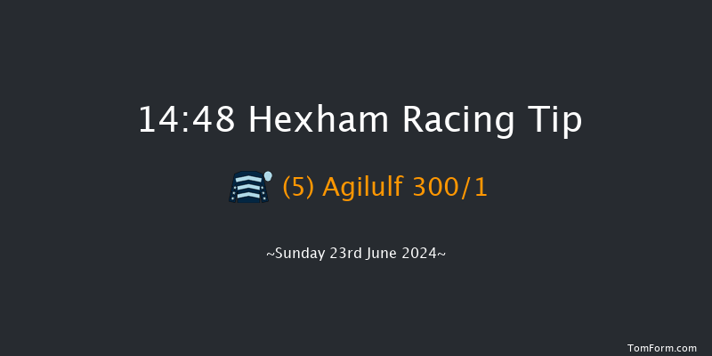 Hexham  14:48 Handicap Hurdle (Class 5) 23f Sat 15th Jun 2024