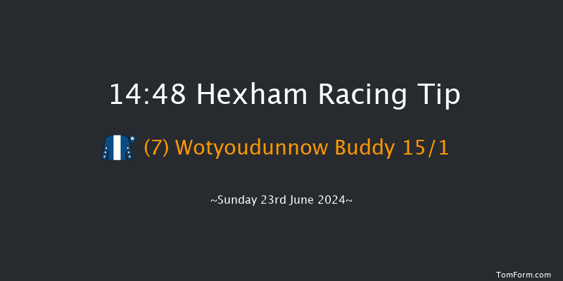 Hexham  14:48 Handicap Hurdle (Class 5) 23f Sat 15th Jun 2024