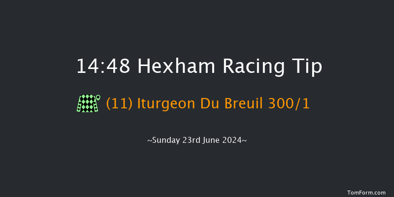 Hexham  14:48 Handicap Hurdle (Class 5) 23f Sat 15th Jun 2024