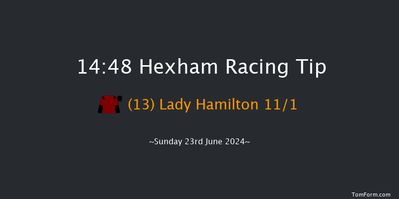 Hexham  14:48 Handicap Hurdle (Class 5) 23f Sat 15th Jun 2024