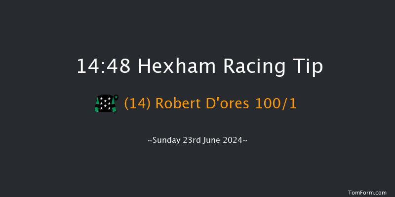 Hexham  14:48 Handicap Hurdle (Class 5) 23f Sat 15th Jun 2024