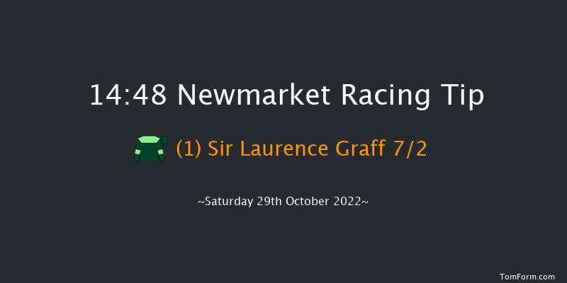 Newmarket 14:48 Handicap (Class 4) 9f Fri 28th Oct 2022