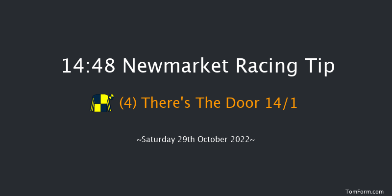 Newmarket 14:48 Handicap (Class 4) 9f Fri 28th Oct 2022