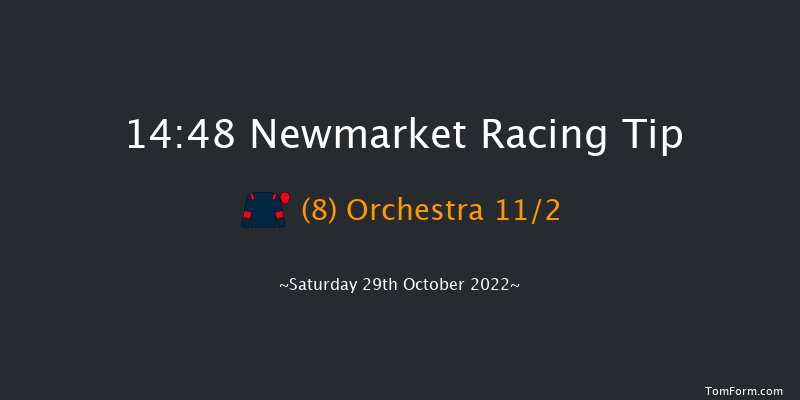 Newmarket 14:48 Handicap (Class 4) 9f Fri 28th Oct 2022