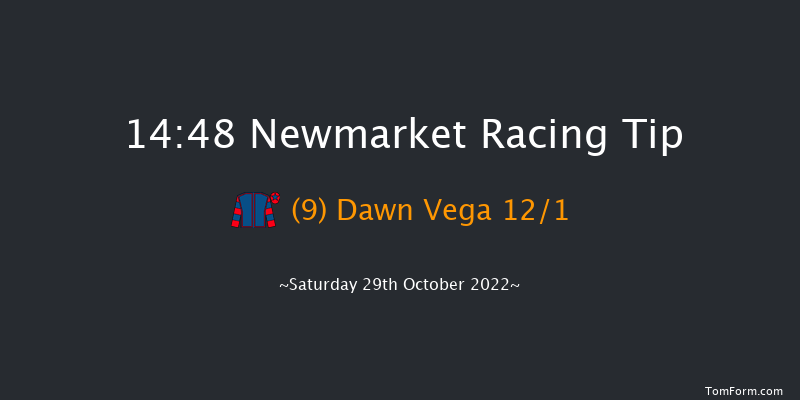 Newmarket 14:48 Handicap (Class 4) 9f Fri 28th Oct 2022