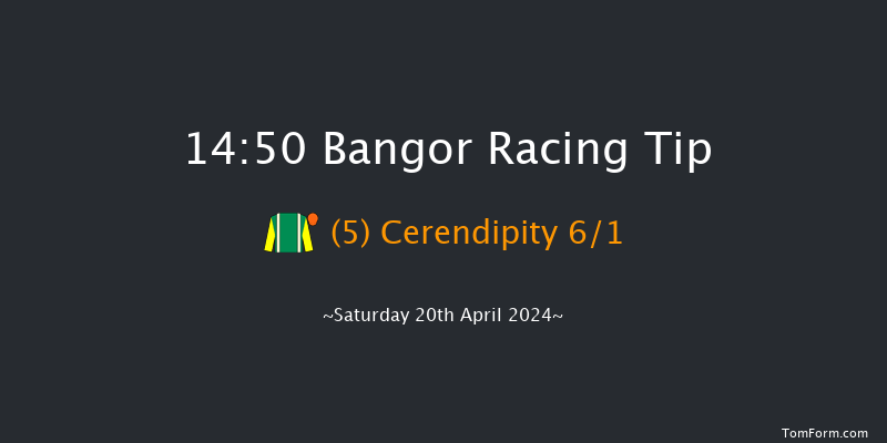 Bangor-on-dee  14:50 Handicap Chase (Class
4) 20f Sat 23rd Mar 2024