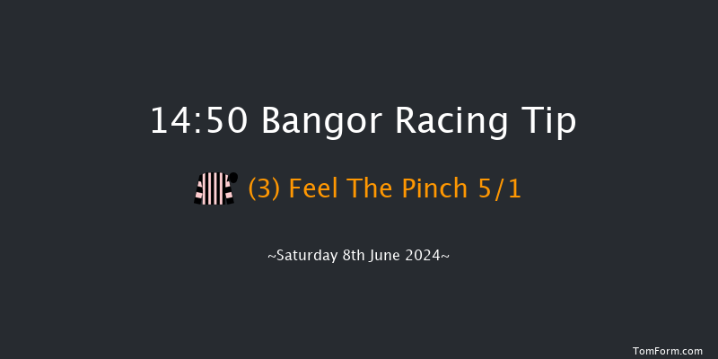 Bangor-on-dee  14:50 Handicap Hurdle (Class
4) 17f Tue 28th May 2024