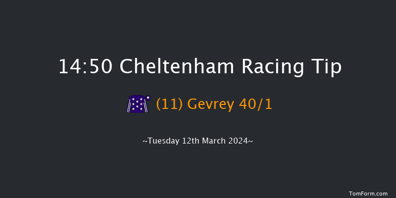 Cheltenham  14:50 Handicap Chase (Class 1)
25f Sat 27th Jan 2024