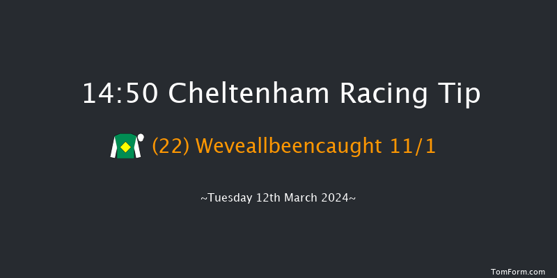 Cheltenham  14:50 Handicap Chase (Class 1)
25f Sat 27th Jan 2024