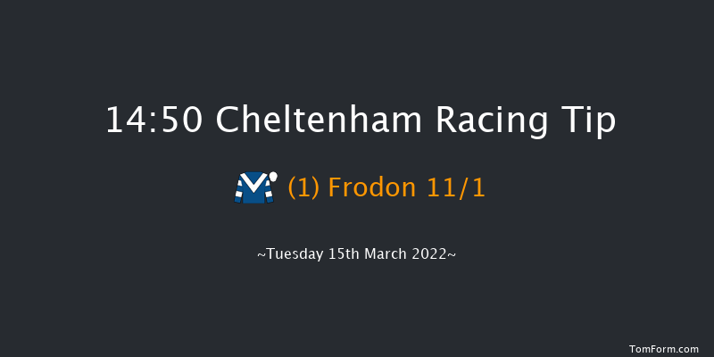 Cheltenham 14:50 Handicap Chase (Class 1) 25f Sat 29th Jan 2022