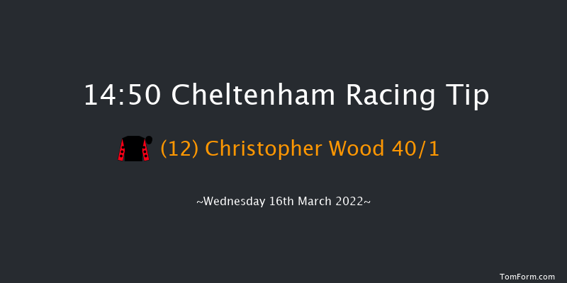 Cheltenham 14:50 Handicap Hurdle (Class 1) 21f Tue 15th Mar 2022