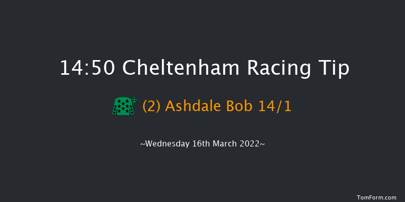 Cheltenham 14:50 Handicap Hurdle (Class 1) 21f Tue 15th Mar 2022