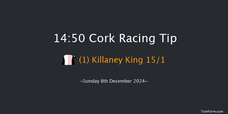 Cork  14:50 Handicap Hurdle 20f Sun 24th Nov 2024