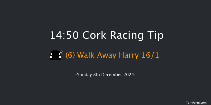 Cork  14:50 Handicap Hurdle 20f Sun 24th Nov 2024