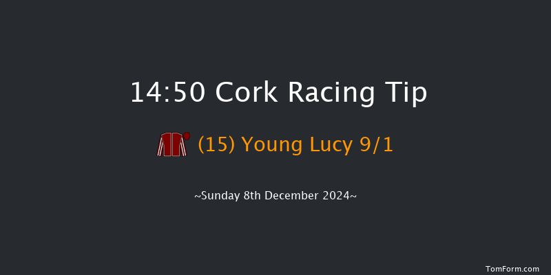 Cork  14:50 Handicap Hurdle 20f Sun 24th Nov 2024