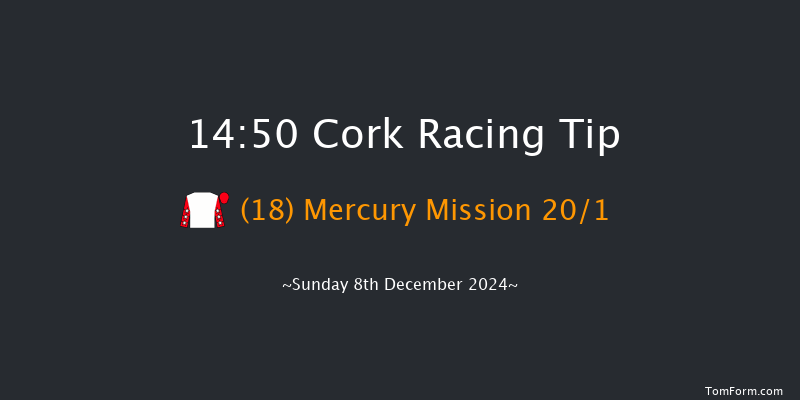 Cork  14:50 Handicap Hurdle 20f Sun 24th Nov 2024