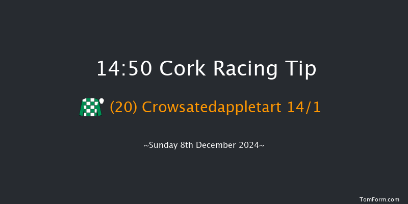 Cork  14:50 Handicap Hurdle 20f Sun 24th Nov 2024