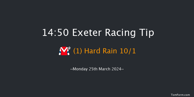 Exeter  14:50 Selling Hurdle (Class 4) 18f Tue 19th Mar 2024