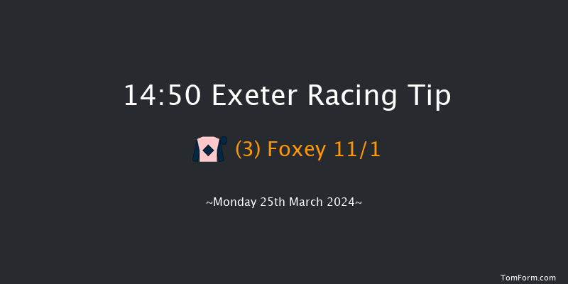 Exeter  14:50 Selling Hurdle (Class 4) 18f Tue 19th Mar 2024