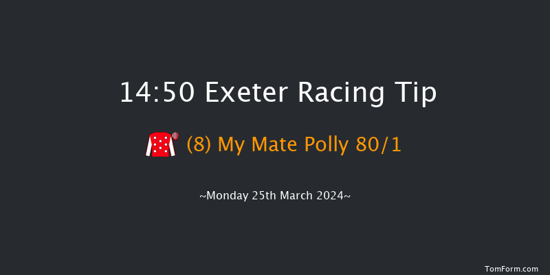 Exeter  14:50 Selling Hurdle (Class 4) 18f Tue 19th Mar 2024