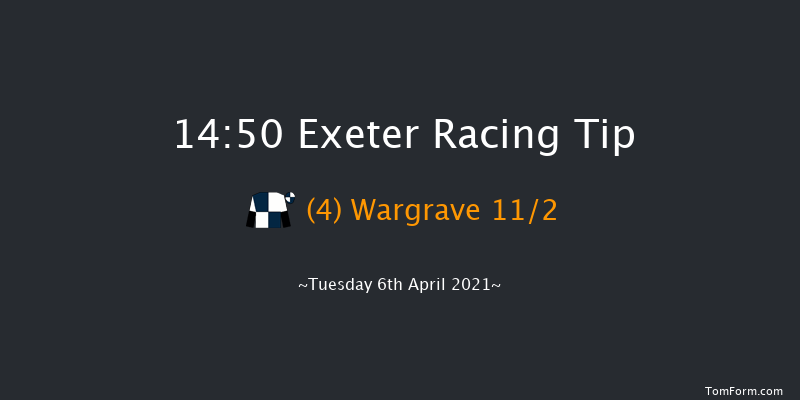 City Of Exeter Challenge Cup Handicap Hurdle Exeter 14:50 Handicap Hurdle (Class 3) 17f Tue 9th Mar 2021