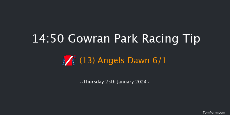 Gowran Park  14:50 Handicap Chase 25f Sat 11th Nov 2023