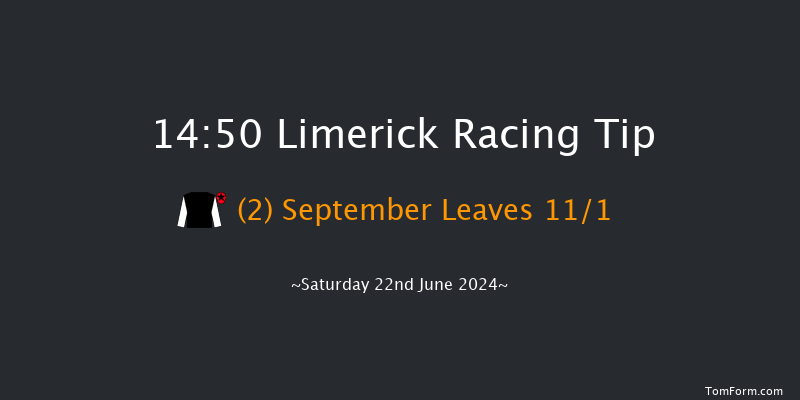 Limerick  14:50 Handicap 8f Wed 12th Jun 2024