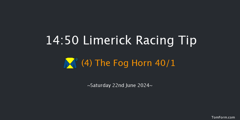 Limerick  14:50 Handicap 8f Wed 12th Jun 2024