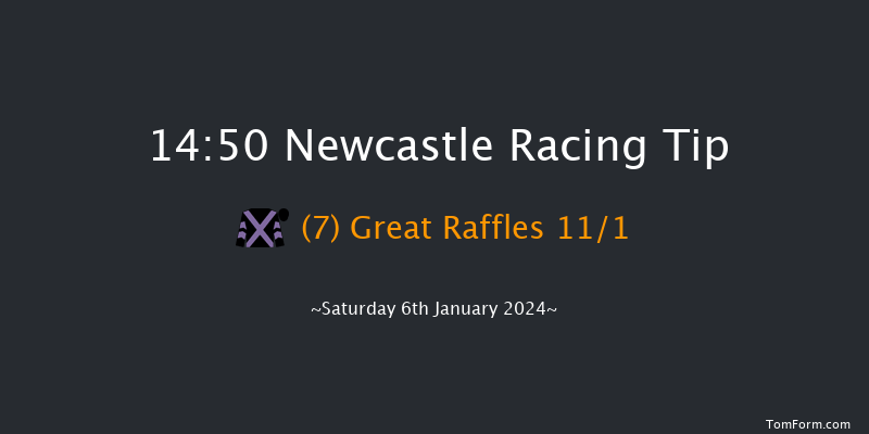 Newcastle 14:50 Handicap Chase (Class 5) 20f Thu 4th Jan 2024