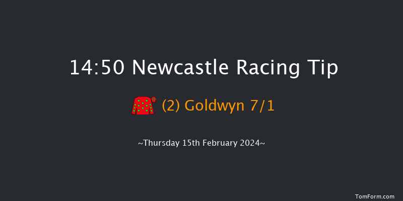 Newcastle  14:50 Maiden Hurdle
(Class 4) 20f Tue 13th Feb 2024