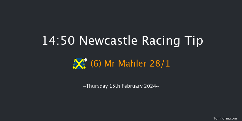 Newcastle  14:50 Maiden Hurdle
(Class 4) 20f Tue 13th Feb 2024