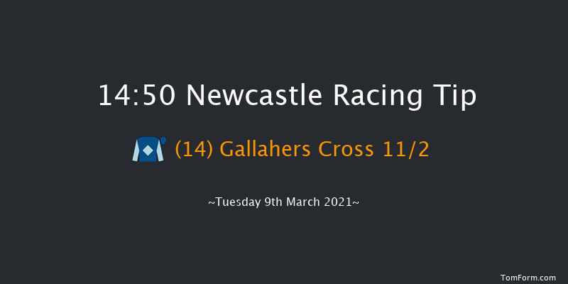 Quinnbet Casino Novices' Handicap Hurdle Newcastle 14:50 Handicap Hurdle (Class 5) 20f Fri 5th Mar 2021