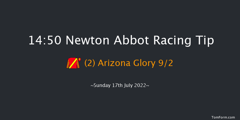 Newton Abbot 14:50 Handicap Chase (Class 5) 21f Mon 11th Jul 2022