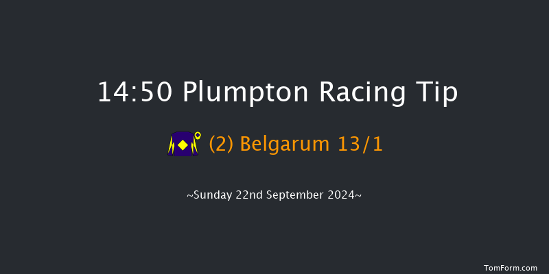 Plumpton  14:50 Handicap Chase (Class 5) 20f Sun 12th May 2024