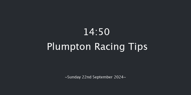 Plumpton  14:50 Handicap Chase (Class 5) 20f Sun 12th May 2024